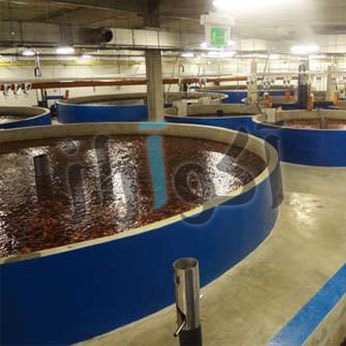 aquaculture5